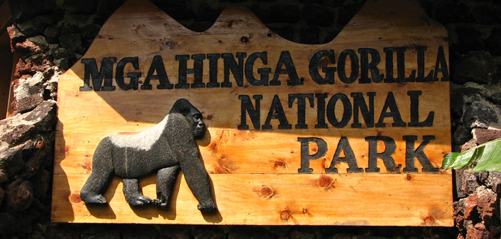Mgahinga Gorilla National Park Acquires New Visitor Information Office