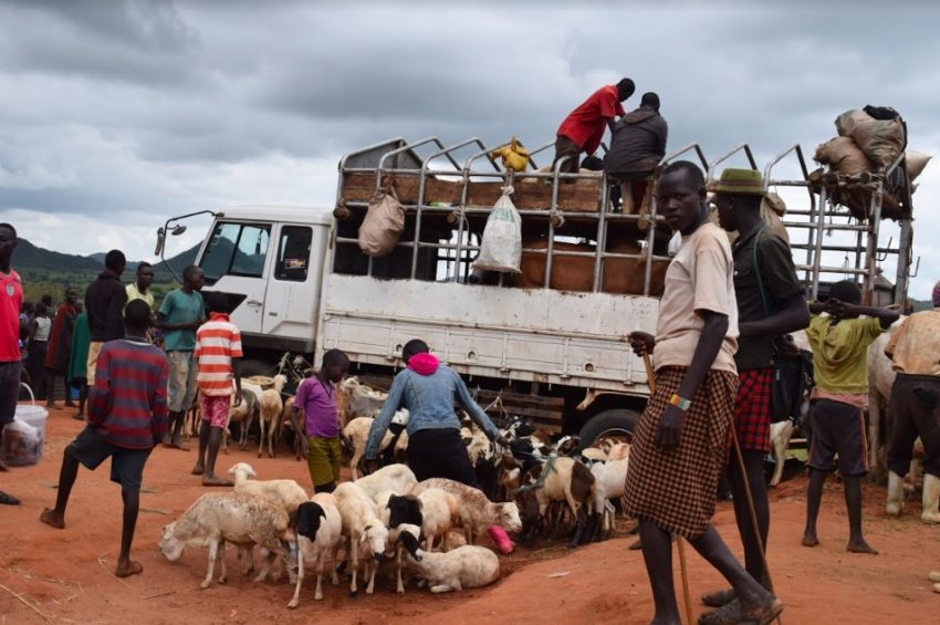 LIFTED: Government Lifts Ban On Livestock Markets