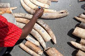 END OF THE ROAD: Uganda’s Notorious Ivory Dealer Sentenced To 20 Years In Prison