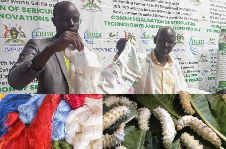 SADTALE: UGX73B Silkworm Project Hangs in Balance After Minister Halts Release of Funds