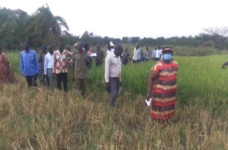 CLIMATE: Oyam RDC Inspects Wetlands, Warns Encroachers