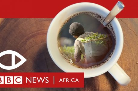 SEX FOR WORK: Kenya’s DPP Orders Probe Over Rape Allegations In Unilever, James Finlay Tea Farms