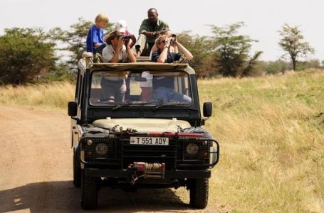 BOOST: Tanzania Records 24 per cent Increase In Tourist Arrivals