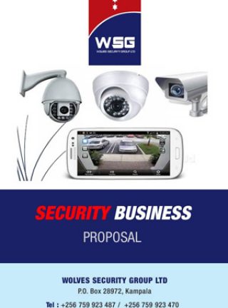 WSG-Security-Business